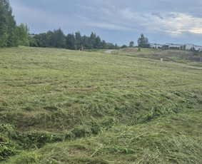 Nupjauta žolė didesniame plote