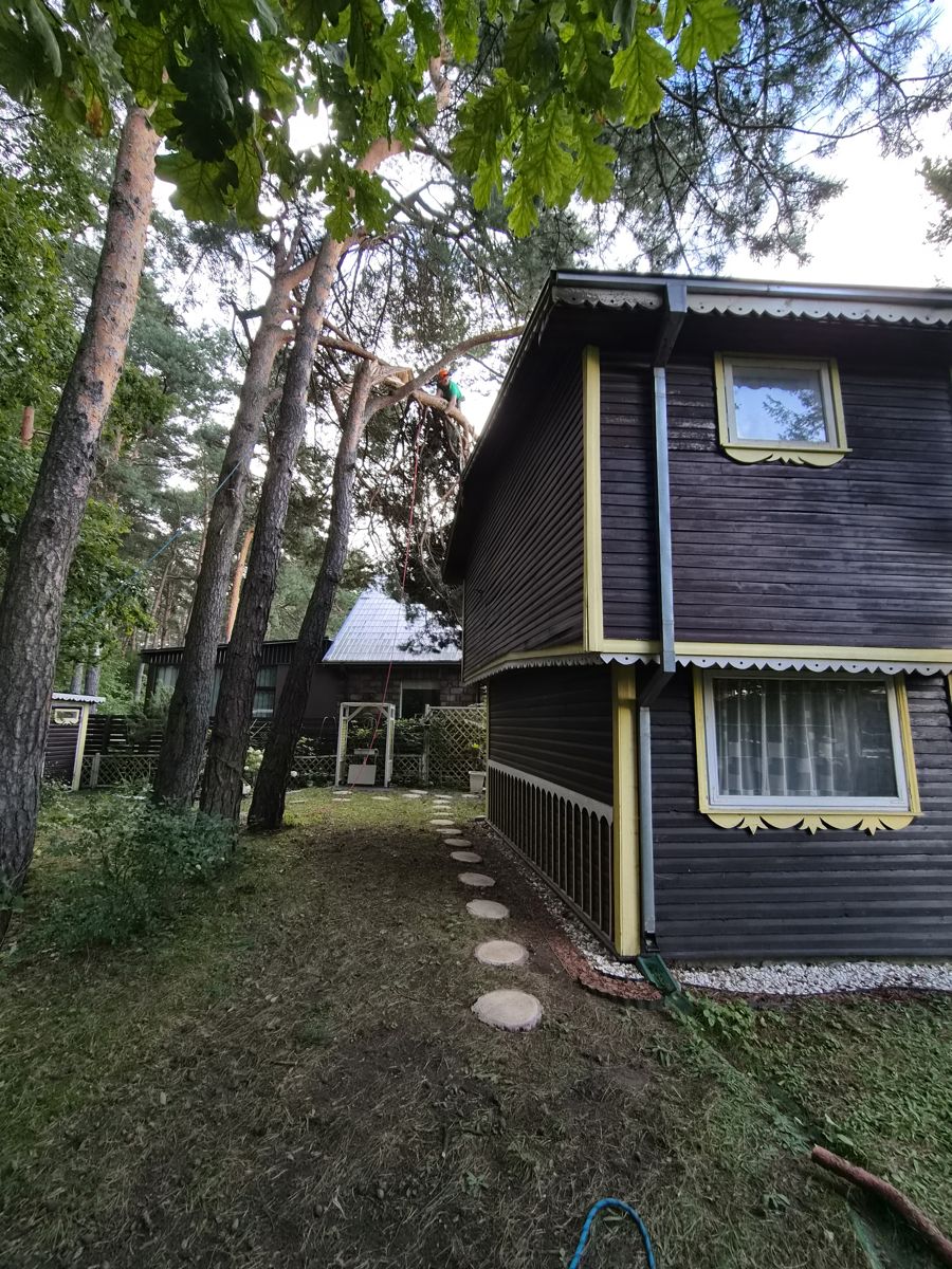 Genėjimas prie gyvenamojo namo