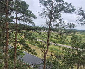 Darbo aplinka gamtoje