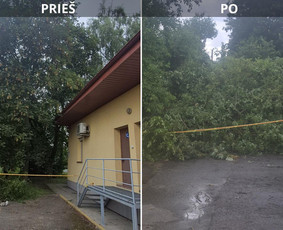 Prieš ir po: avarinio medžio pašalinimas