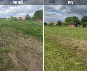 Prieš ir po: žolės pjovimas
